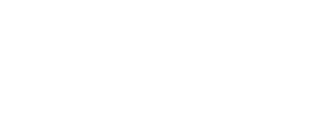 PCFox Logo